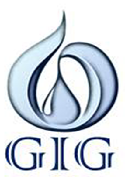 Бензин А-95 (Євро 5), АЗС GIG, талон